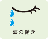 涙の働き