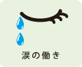 涙の働き