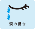 涙の働き
