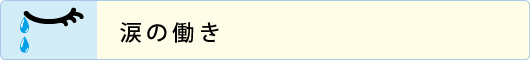 涙の働き